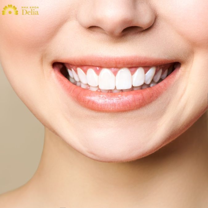 Chân răng cửa – Tài liệu tổng hợp bệnh lý về chân răng cửa
