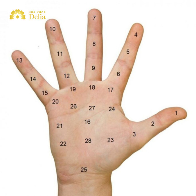 Giải mã nốt ruồi ở tay: lòng bàn tay, mu tay, ngón tay nam nữ – trái phải