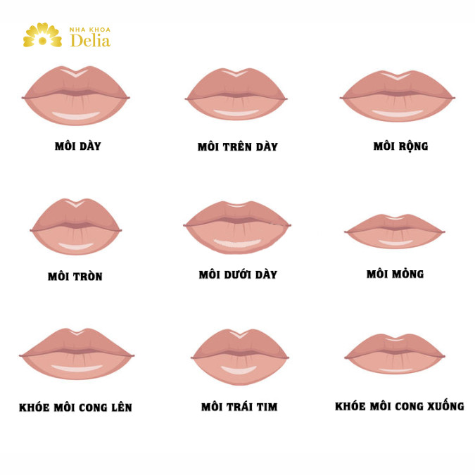 Môi phong thủy – Xem tướng môi đoán mệnh, môi nào phú quý?