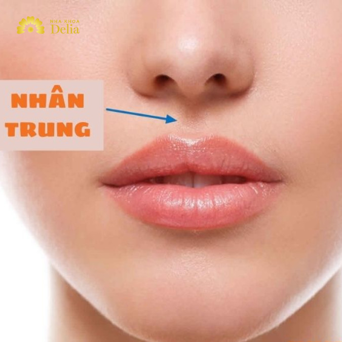 Xem tướng nhân trung sâu, dài, ngắn, rộng, không rõ nét…