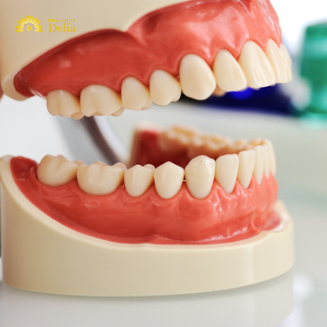 Có nên dùng hàm tháo lắp nhựa cứng không? Giải đáp cùng bác sĩ