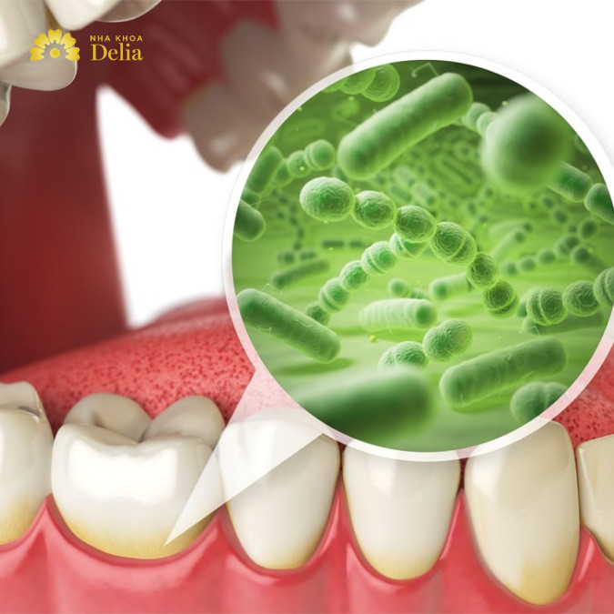 Vi khuẩn trong miệng hoạt động như thế nào?