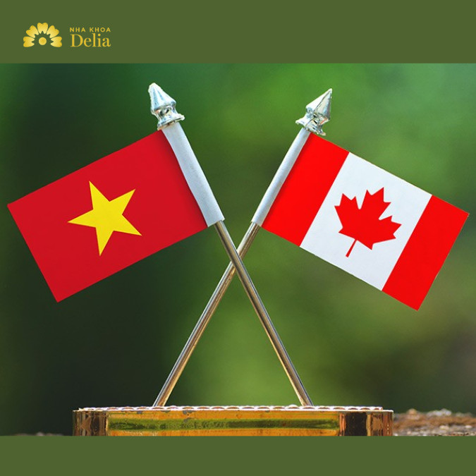So sánh chi phí trồng răng Implant ở Việt Nam và Canada