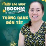 Tết về Việt Nam trồng răng Implant ở đâu uy tín? Việt kiều trả lời