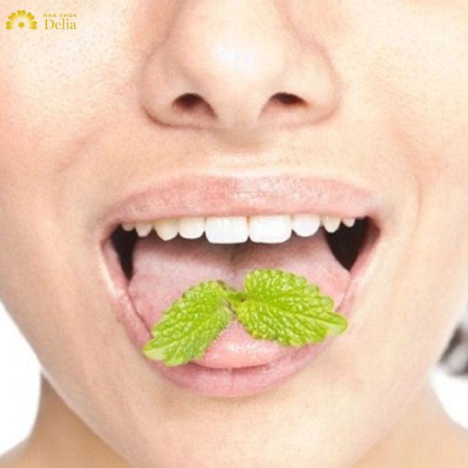 Sử dụng lá cây trị hôi miệng được không? 6 loại lá hiệu quả nhất