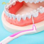 Top 7 loại bàn chải kẽ răng tốt nhất răng miệng sạch khuẩn 99.99%