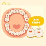 Thứ tự mọc răng của bé như thế nào là chuẩn nhất?