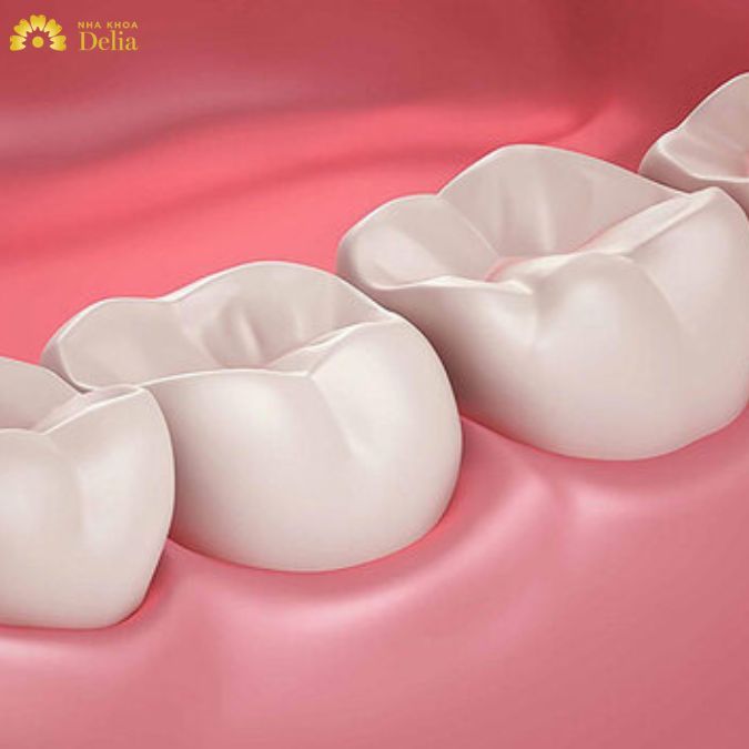 Mỗi vị trí răng sẽ có chức năng riêng