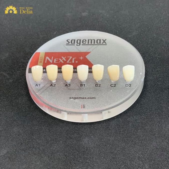 Răng sứ Sagemax thuộc phân khúc nào trên thị trường?