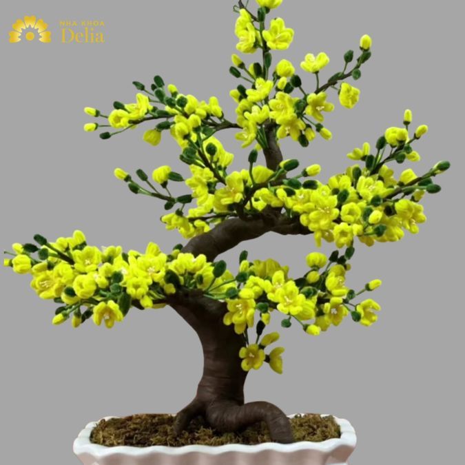 Những cánh hoa mai kẽm nhung siêu đẹp 