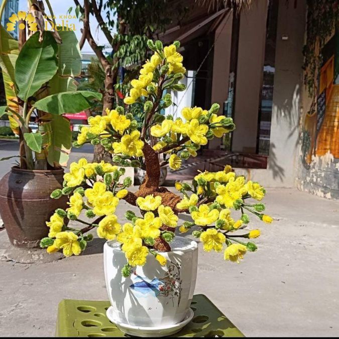 Hoa mai rực rỡ được làm bằng kẽm nhung