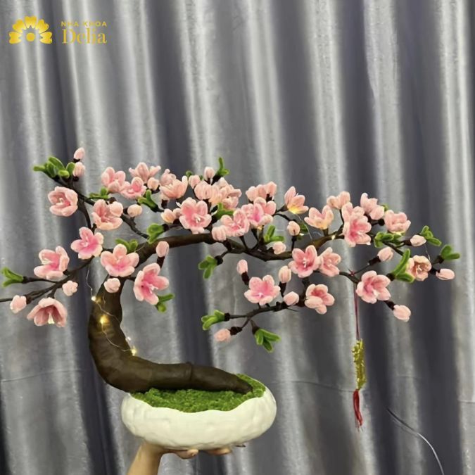 Trưng đào phai kẽm nhung trong dịp tết 2024