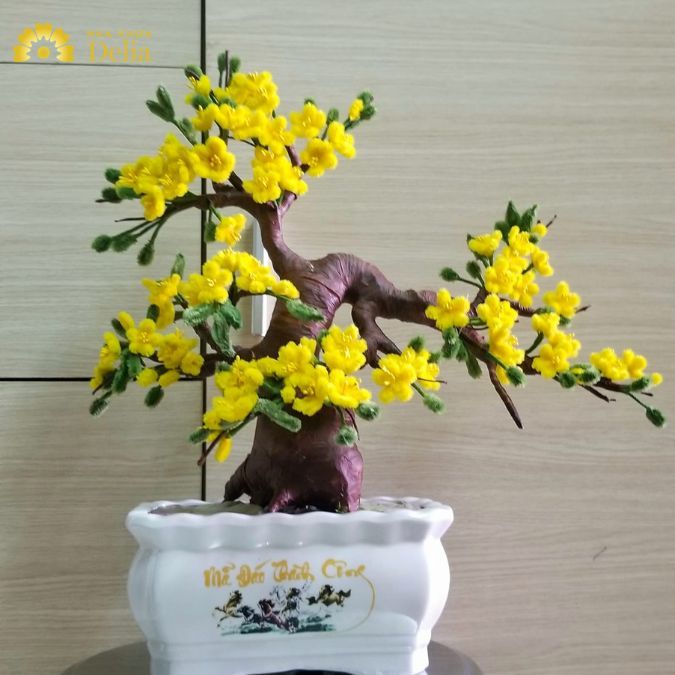 Hoa mai kẽm nhung được đặt trong chậu cây xinh đẹp