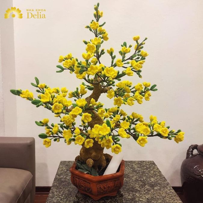 Hoa mai nhung kẽm với nhiều hoa và nụ