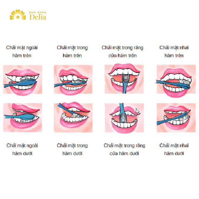 Chải răng đúng cách 2 lần mỗi ngày