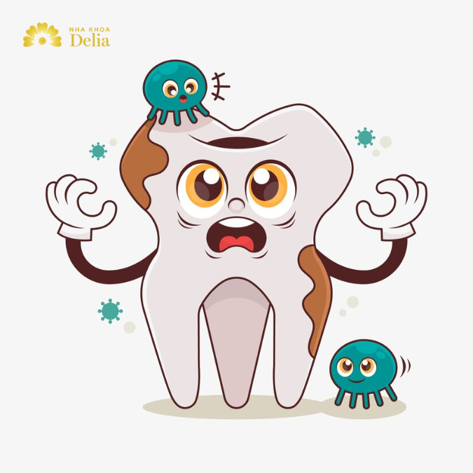 Răng số 5 hàm trên có mấy chân?
