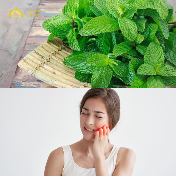 Câu thuốc chữa đau răng: lá bạc hà