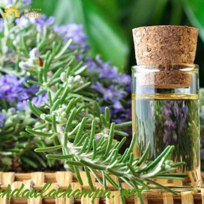 Sử dụng tinh dầu cỏ xạ hương giảm đau răng