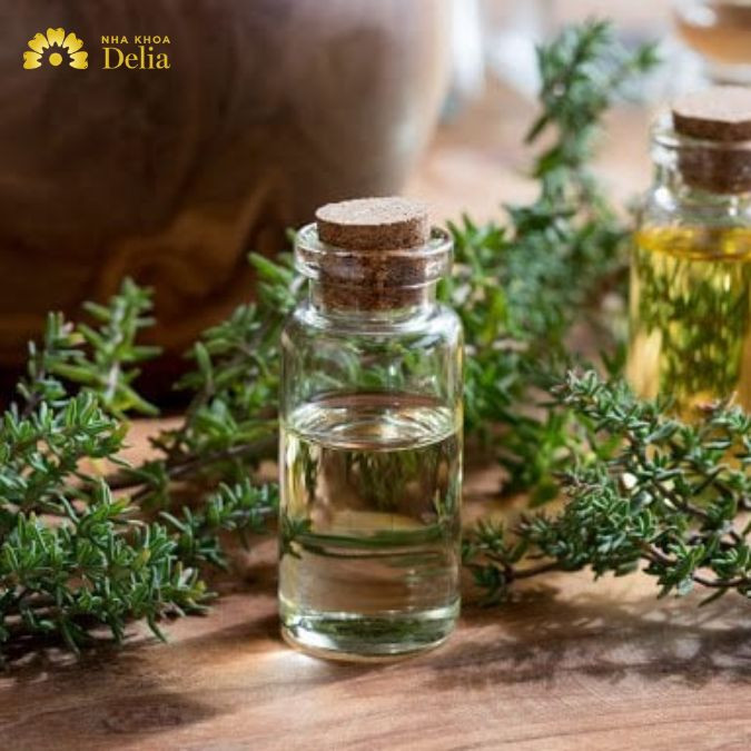 Dùng tinh dầu cỏ xạ hương