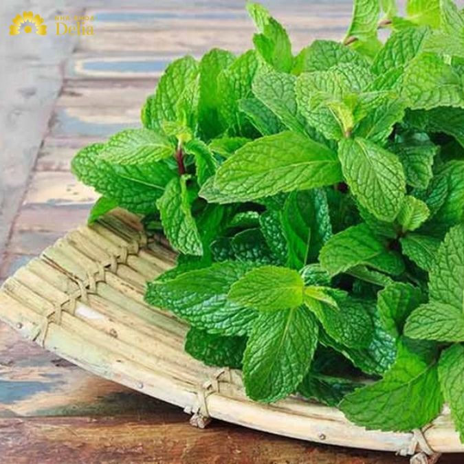 Sử dụng lá bạc hà chữa đau răng