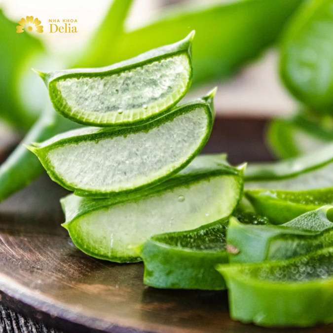 Nha đam là loại cây có tính làm dịu và giảm viêm rất tốt trong việc điều trị sưng mộng răng.