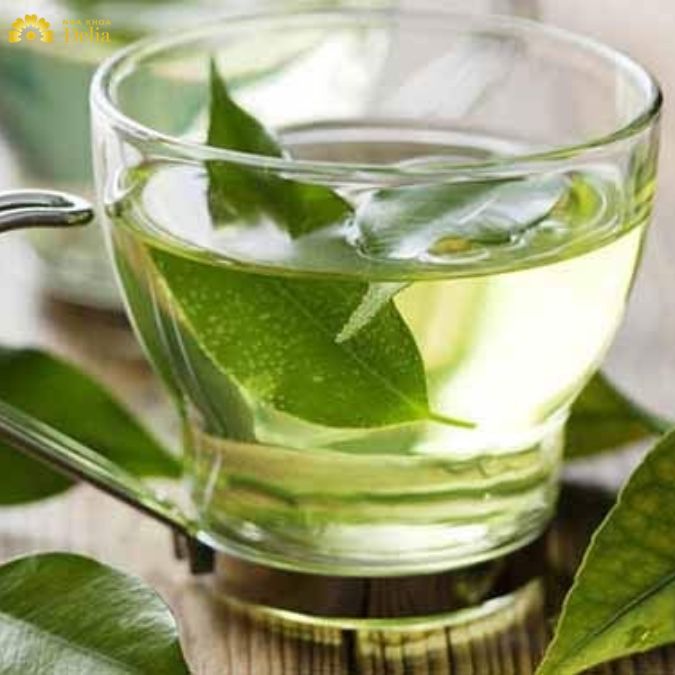 Trị hôi miệng bằng trà xanh