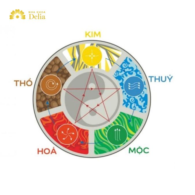 Trong Đông y, sự cân bằng giữa các yếu tố ngũ hành là cơ sở để đảm bảo sức khỏe và phòng tránh bệnh tật. 