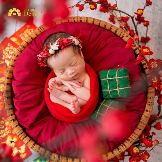 Concept chụp ảnh Tết cho bé sơ sinh ấn tượng