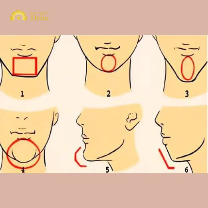 Cằm cũng là một yếu tố quan trọng trong nhân tướng học, thường liên quan đến ý chí và sự kiên định