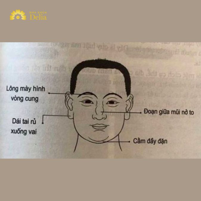 Nhân tướng học khuôn mặt là một ngành nghiên cứu cổ xưa và phức tạp
