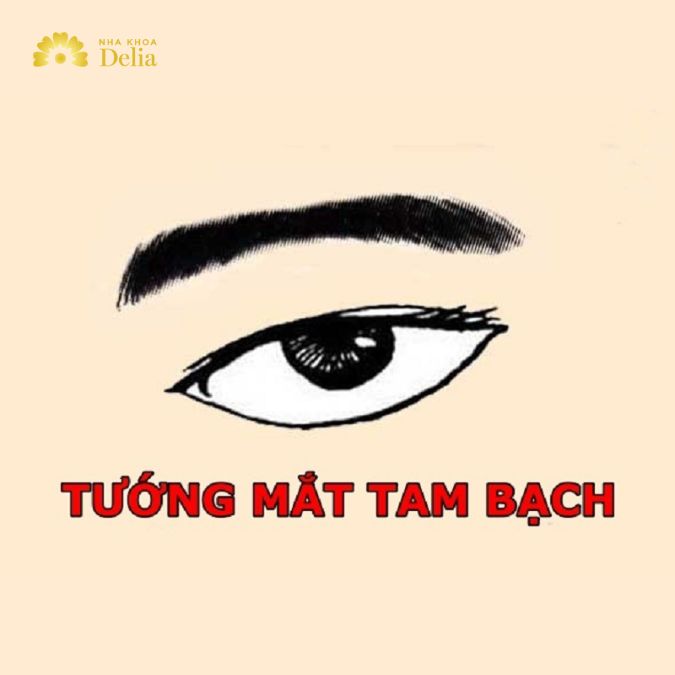 Mắt lớn thường được liên kết với sự cởi mở, trung thực và sẵn sàng chia sẻ cảm xúc